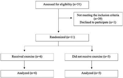 Denervation Dynamics After Intramuscular BNT Injection in Patients With Focal Spasticity Monitored by MRI and Dynamometry–a Blinded Randomized Controlled Pilot Study